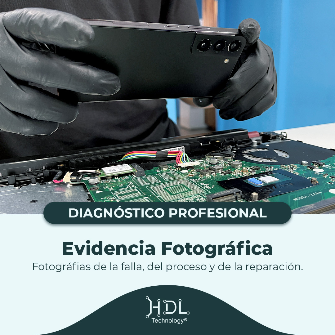 Galería de Diagnóstico Profesional